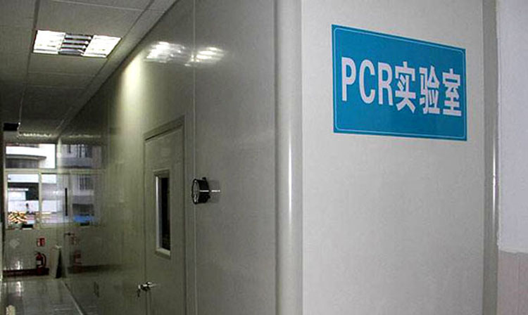 PCR實(shí)驗(yàn)室建設(shè)